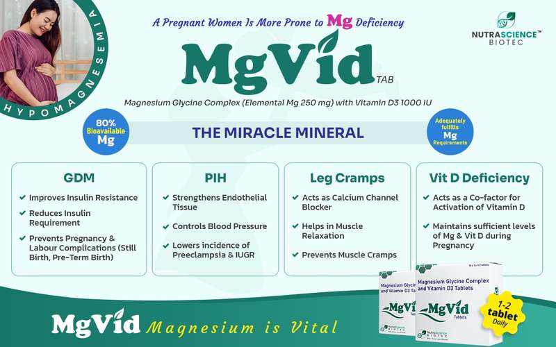 MgVid